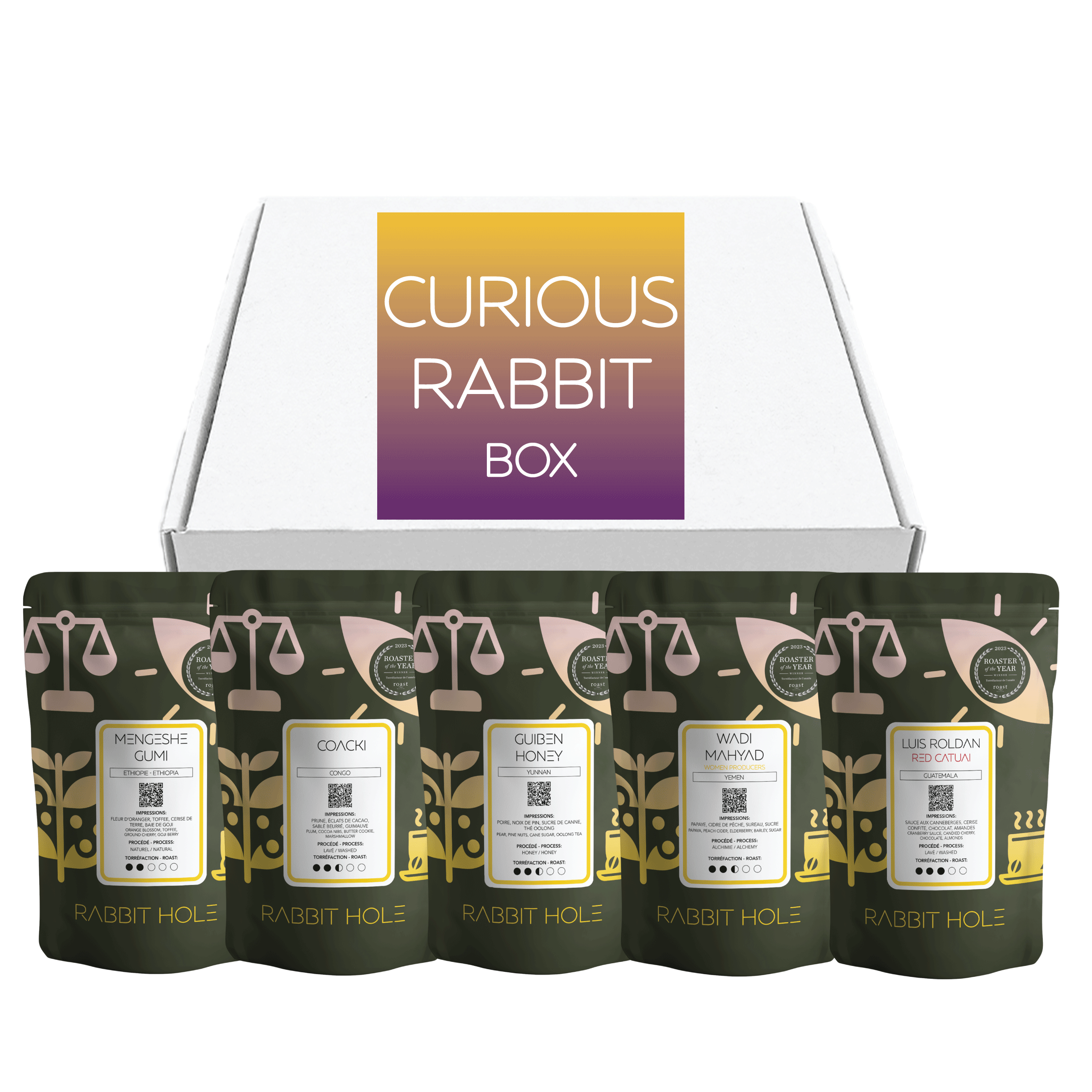 The Curious Rabbit Box